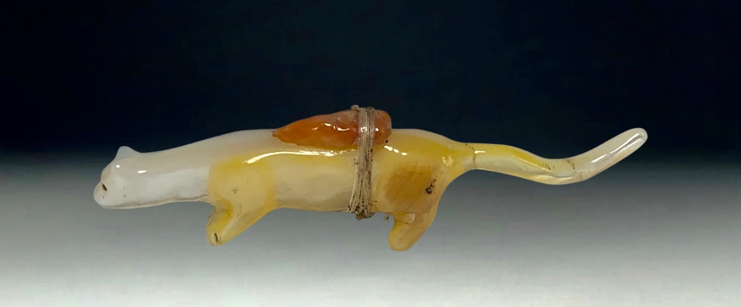 1970s Native Zuni Carved Shell Mountain Lion Fetish By Stewart Quandelacy (d.)