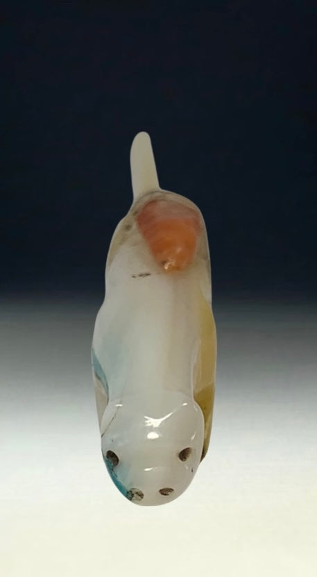 1970s Native Zuni Carved Shell Mountain Lion Fetish By Stewart Quandelacy (d.)